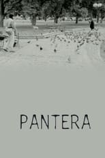 Poster de la película Pantera