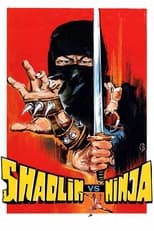 Poster de la película Shaolin vs. Ninja