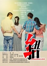 Poster de la película Awakening Love