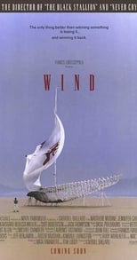 Poster de la película Wind