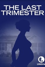 Poster de la película The Last Trimester