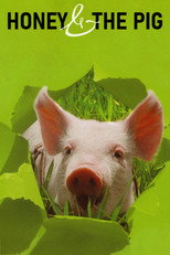 Poster de la película Honey and the Pig