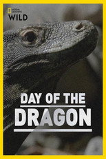 Poster de la película Day of the Dragon