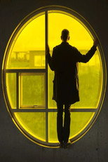 Poster de la película Playtime