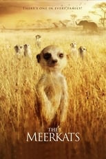 Poster de la película The Meerkats