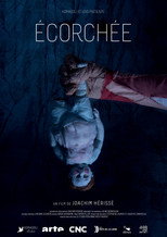 Poster de la película Skinned