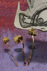 Poster de la película Space Snails