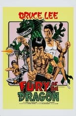 Poster de la película Fury of the Dragon