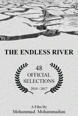 Poster de la película The Endless River