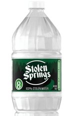 Poster de la película Stolen Springs