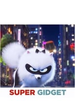 Poster de la película Super Gidget