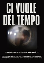 Poster de la película Ci vuole del tempo