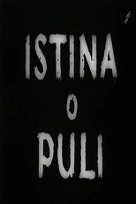 Poster de la película The Truth About Pula