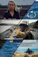 Poster de la película Night Accident