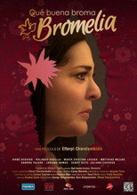 Poster de la película Qué buena broma, Bromelia