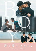 Poster de la película Because of You