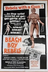 Poster de la película Beach Boy Rebels