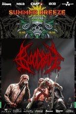 Poster de la película Bloodbath: Summer Breeze 2018