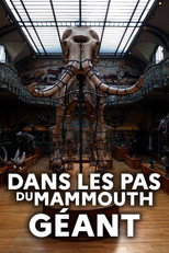 Poster de la película Dans les pas du mammouth géant