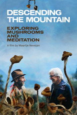 Poster de la película Descending the Mountain