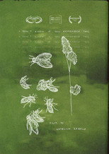 Poster de la película I Don't Know If You Remember This