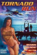 Poster de la película Tornado Run