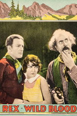 Poster de la película Wild Blood