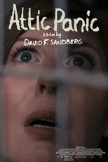 Poster de la película Attic Panic