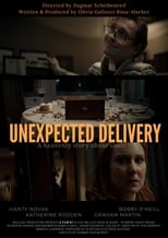 Poster de la película Unexpected Delivery