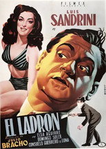 Poster de la película El ladrón