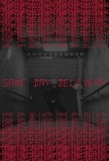 Poster de la película Same Day Delivery