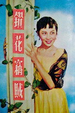 Poster de la película Diamond Thief