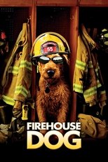 Poster de la película Firehouse Dog