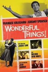 Poster de la película Wonderful Things!