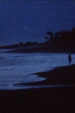 Poster de la película A conversation with the ocean