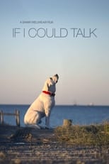 Poster de la película If I Could Talk