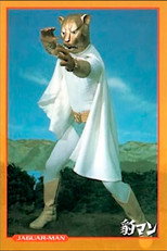 Poster de la película Jaguarman