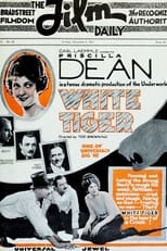Poster de la película White Tiger