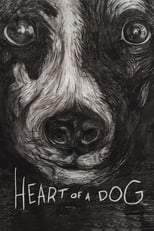 Poster de la película Heart of a Dog
