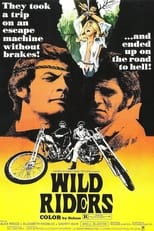 Poster de la película Wild Riders