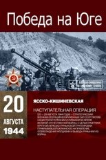 Poster de la película Victory in the South
