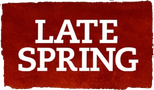 Logo Late Spring