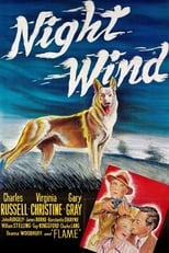 Poster de la película Night Wind