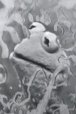 Poster de la película Visual Thinking