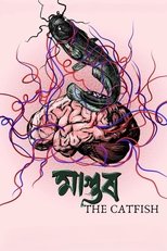 Poster de la película The Catfish
