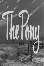 Poster de la película The Pony