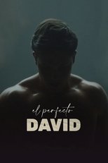 Poster de la película El perfecto David