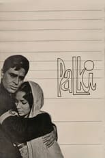 Poster de la película Palki