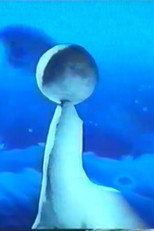 Poster de la película Inversion