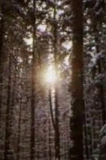 Poster de la película The Forest and the Man